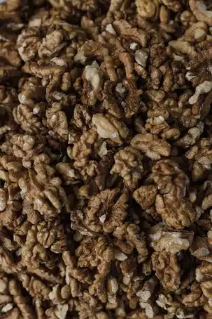 1. Nutrición para la salud cerebral: