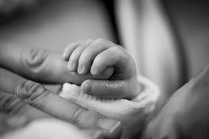 2. El nacimiento del primer hijo