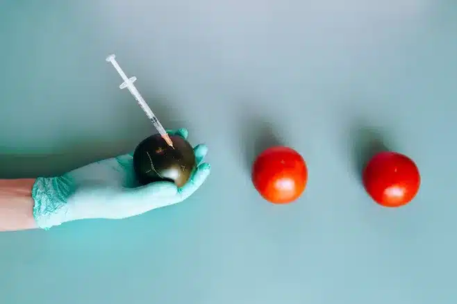 2. Estudios científicos y evidencia clínica