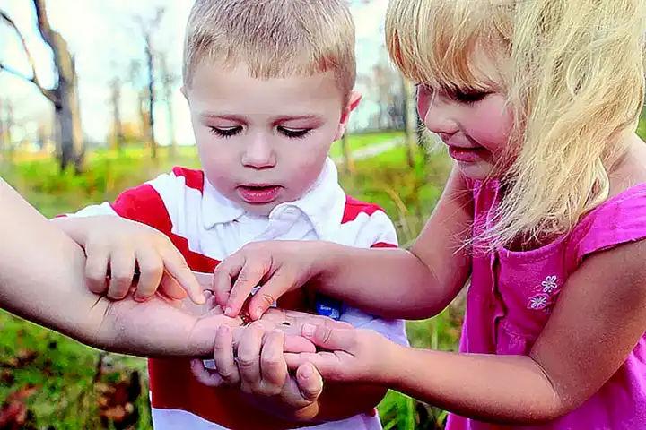 2. ¿Por qué es importante comprender el ciclo vital de la familia?