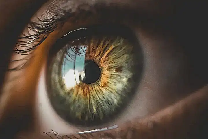 2. Va en los ojos