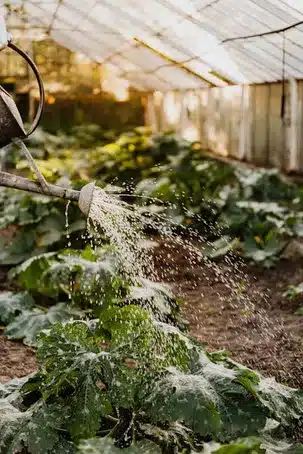 3. ¿Cómo se puede cultivar la autocompasión?