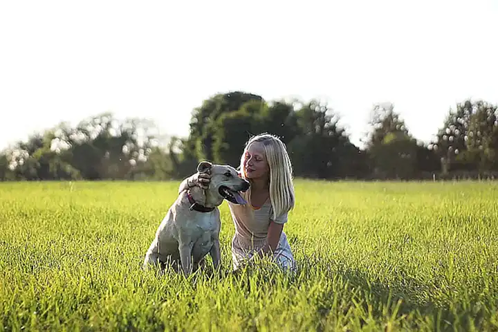 3. ¿Qué tipo de perro es el mejor para la terapia con perros?