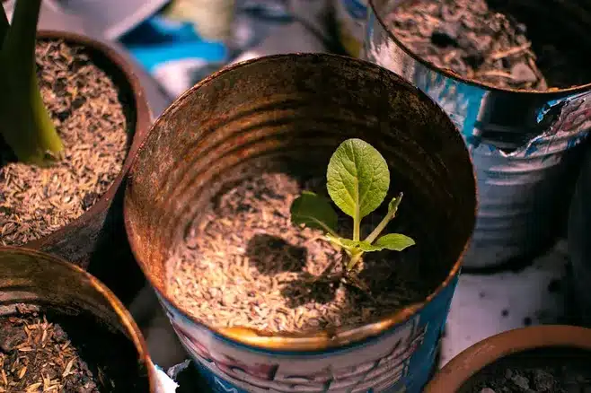 4. ¿Cómo puedo comenzar a cultivar la amabilidad hacia uno mismo?