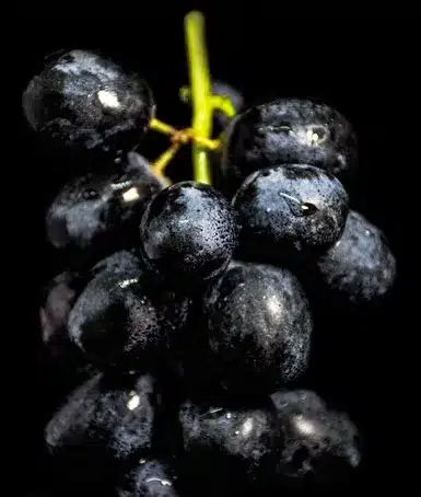 4. ¿Cuáles son los alimentos ricos en vitamina B6?