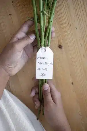 5. 