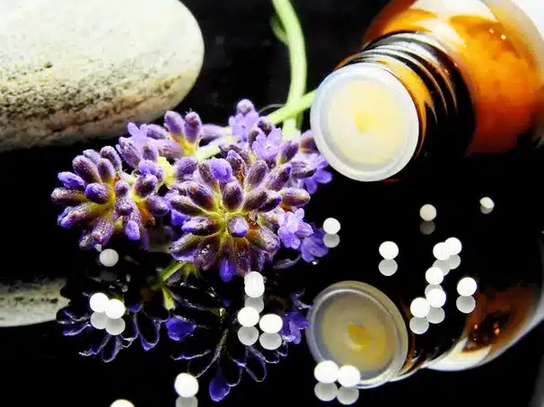 A. Exploración de los principios de la naturopatía y su enfoque holístico de la salud.