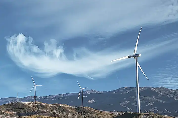 A. Teoría de los meridianos y la circulación de energía