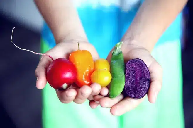 Alimentos integrales y no procesados