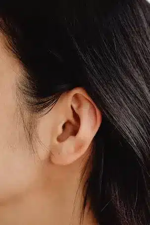 Anatomía y fisiología del oído