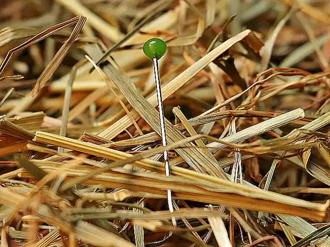 ¿Cómo puedo encontrar un terapeuta humanista para mi hijo?