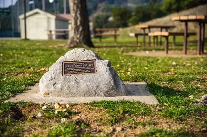 Create a memorial or tribute