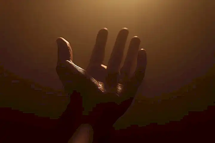 Cultiva la gratitud y el perdón
