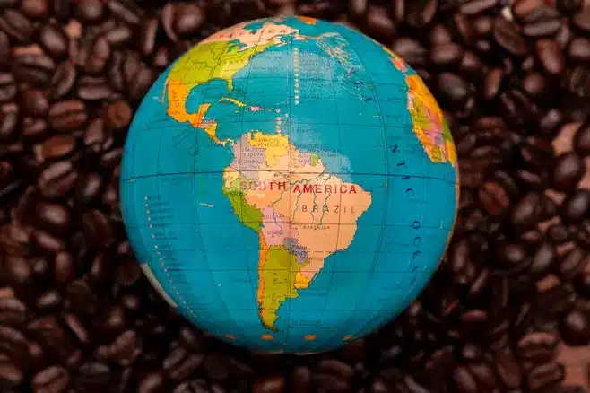 D. Importancia cultural y global del Ayurveda en la actualidad