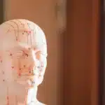 Descubre los puntos de acupuntura en el meridiano del riñón