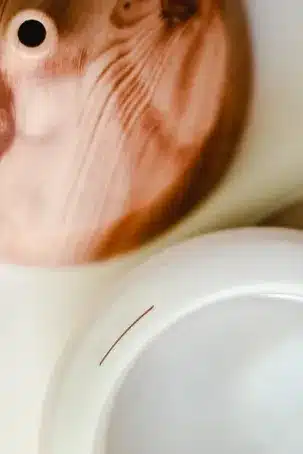 Difusión de aceites esenciales en el dormitorio