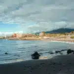 El Árbol: Terapias Naturales en Puerto de la Cruz