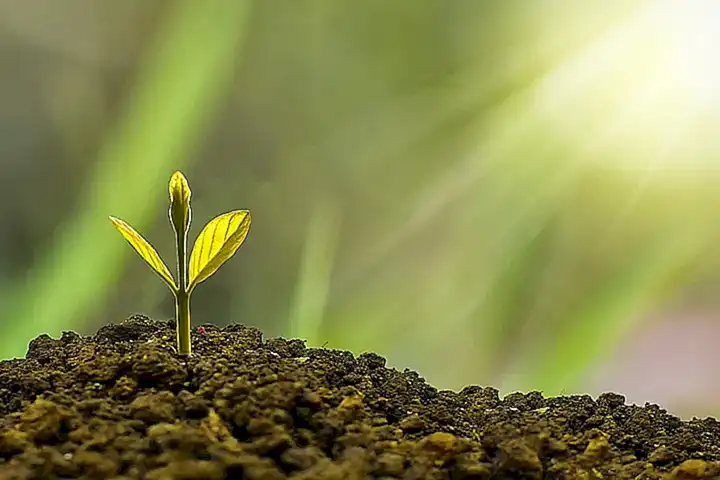 El Éxito como Un Camino de Crecimiento y Aprendizaje