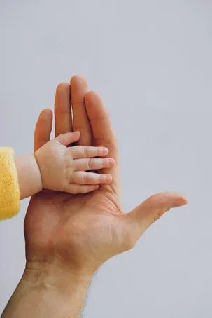 3. ¿Cómo afecta la cognición a la percepción?