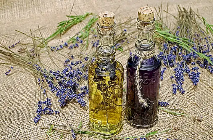 El impacto de los aceites esenciales en el bienestar general