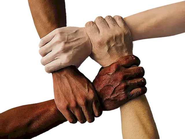 Encuentra tu Equipo de Apoyo