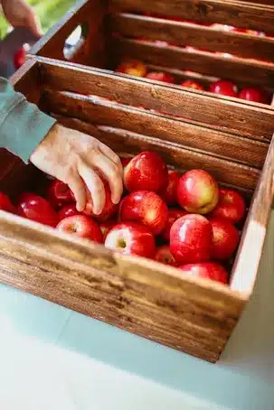 Enfoque en alimentos orgánicos y de temporada