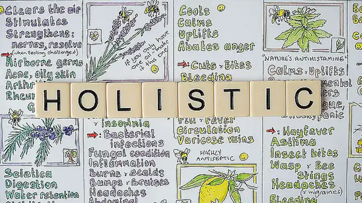 Enfoque holístico