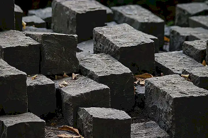 Falta de evidencias científicas sólidas