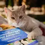 Gato Terapia Libro Pdf
