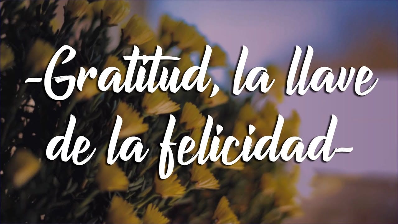 Gratitud: El Secreto para la Felicidad y el Éxito en