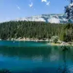 Guía completa: Terapias naturales populares y efectivas