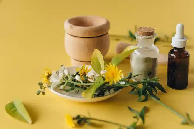 C. Aceptación y evolución de la homeopatía en la medicina moderna
