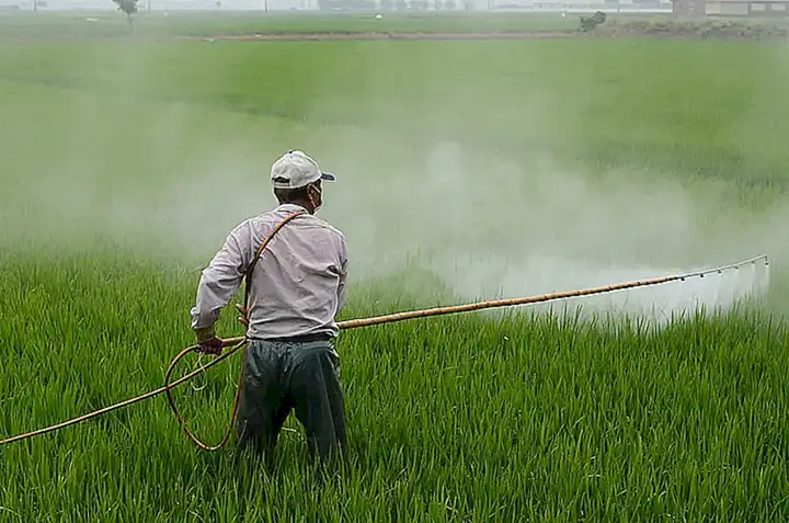 Identificación de áreas libres de contaminación y pesticidas
