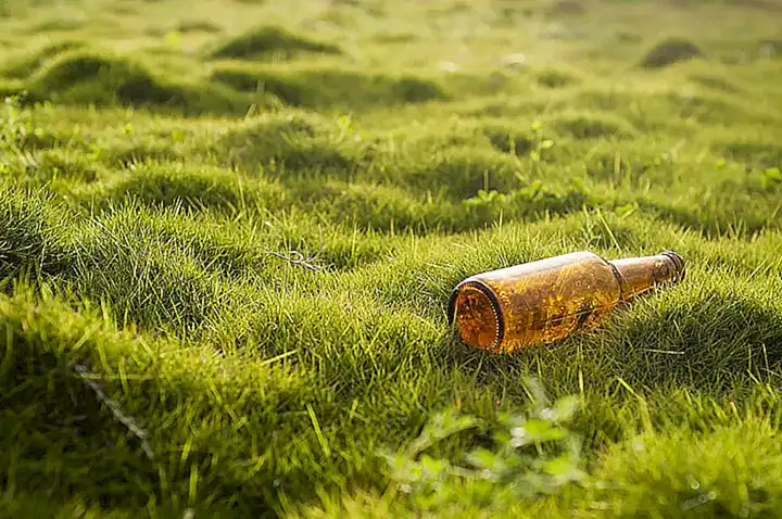 La influencia de los factores ambientales