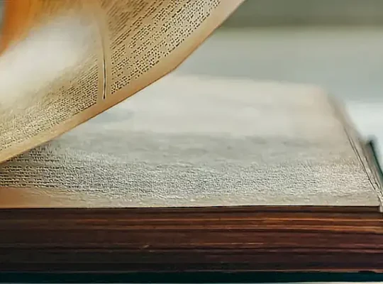 Libro De Terapia De Pareja Gratis