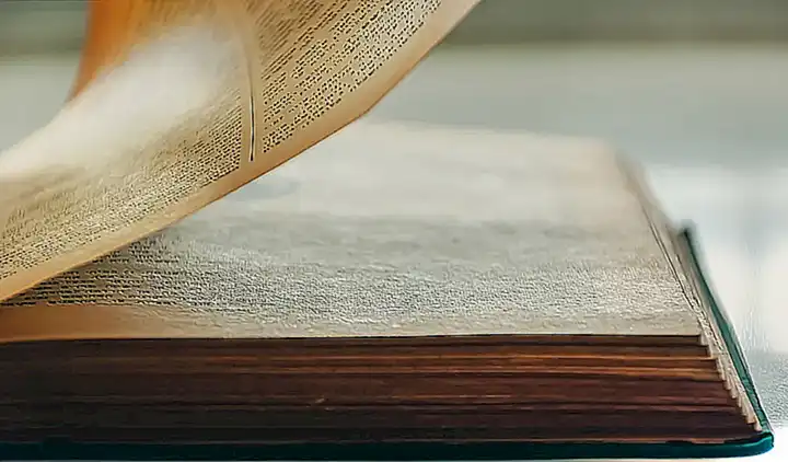 Libro De Terapia De Pareja Gratis