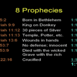 Los gusanos en la Biblia: significado oculto revelado