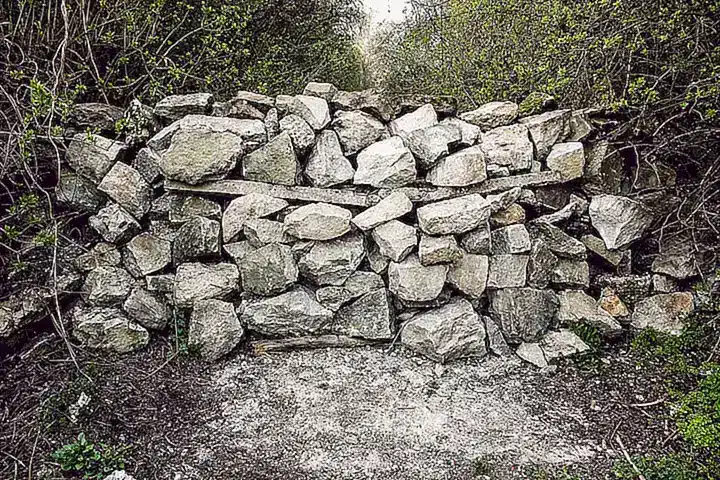 Los Obstáculos como Oportunidades de Crecimiento