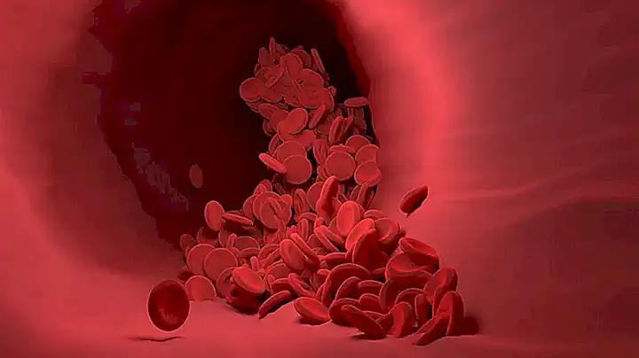 Mejora tu circulación sanguínea con la poderosa reflexología