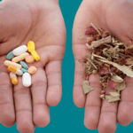 Naturopatía vs medicina tradicional: beneficios naturales y diferencia