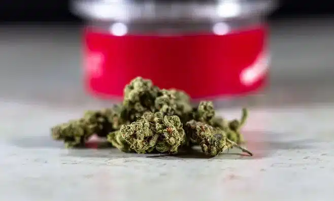 Potencial para mejorar la relajación y la reducción del estrés
