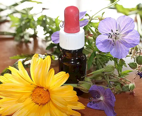 Principios de la homeopatía aplicados al tratamiento del insomnio