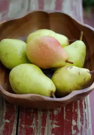 Principios de una dieta naturopática