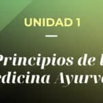 Principios y filosofía de la medicina ayurvédica: guía completa