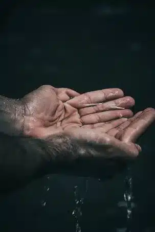 Reconoce la necesidad constante de validación