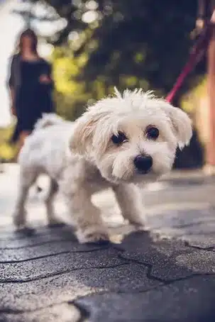 Salir a pasear por la naturaleza