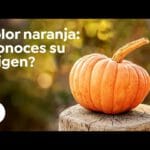 Significado del color naranja en psicología: descúbrelo aquí