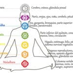 Sintonización Reiki: Inicio efectivo y práctico a cada nivel