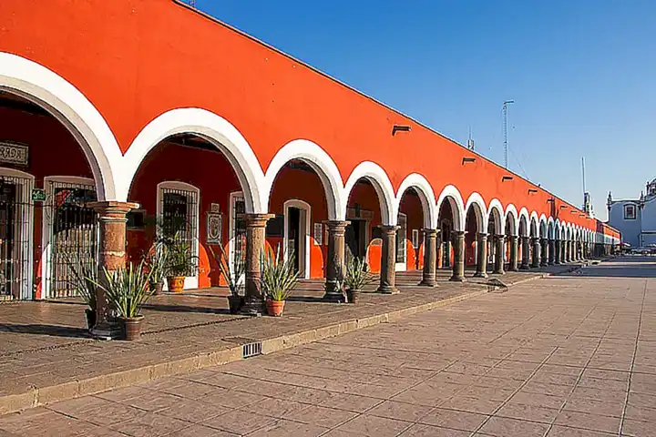 Terapeuta Cognitivo Conductual Puebla
