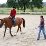 Terapia equina: sanación y conexión con caballos